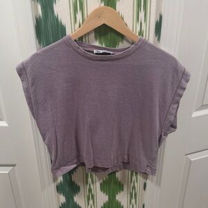 Zara Mauve Crop Top